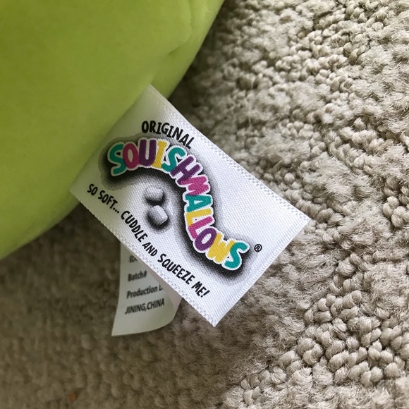 8” Squishmallow Bridgie
Brand New with Tags
Pink Tulip Squishmallow - Picture 5 of 5